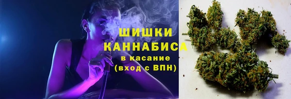 PSILOCYBIN Белокуриха